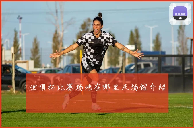 世俱杯比赛场地在哪里及场馆介绍