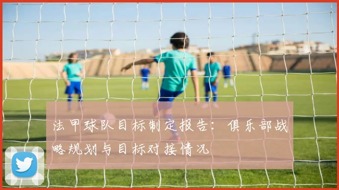 法甲球队目标制定报告：俱乐部战略规划与目标对接情况