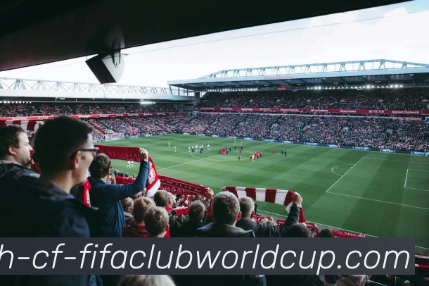 世界杯赛程服务体系